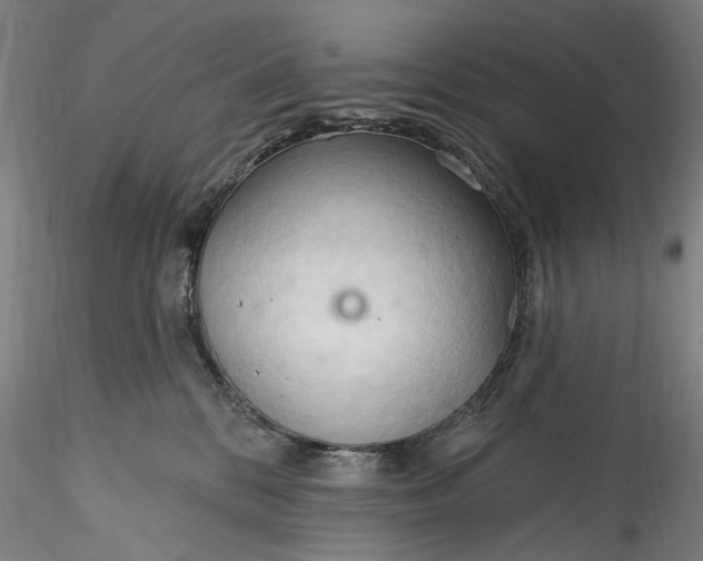 X0000115790328200911271232