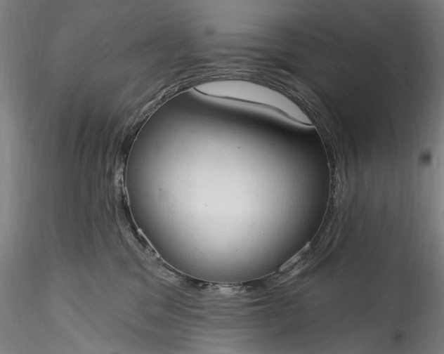 X0000115790329200911271232