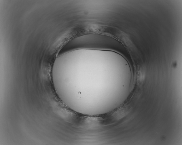 X0000115790332200911271232