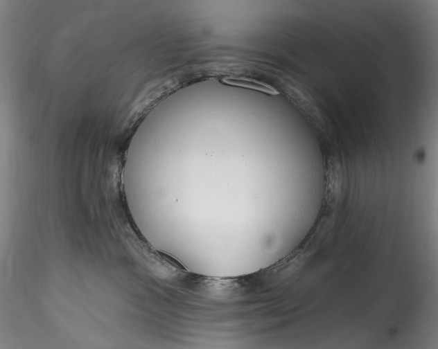 X0000115790333200911271232