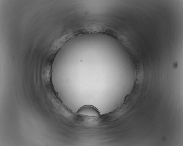 X0000115790334200911271232