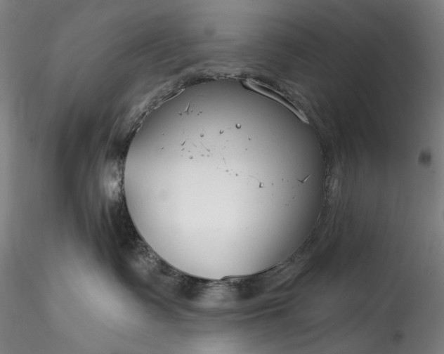 X0000115790335200911271232