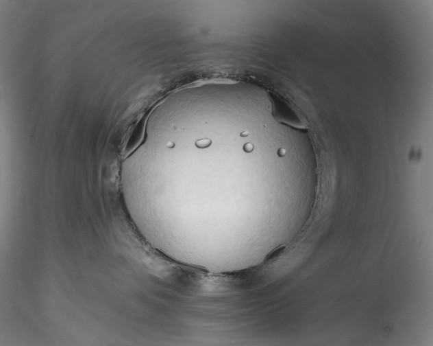 X0000115790336200911271232