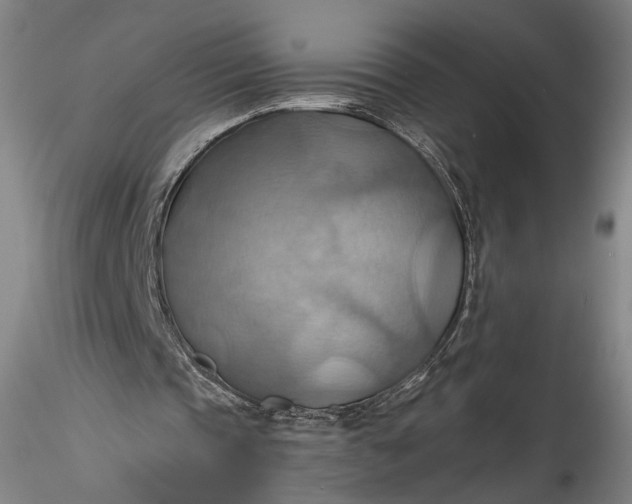 X0000115790337200911271232