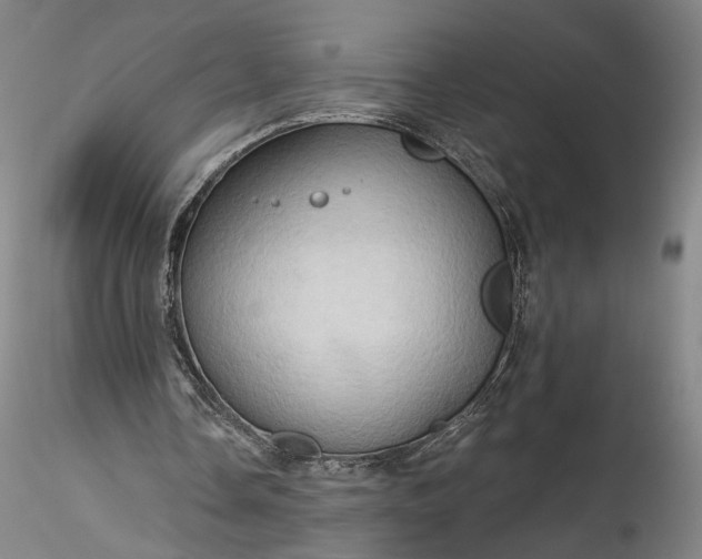 X0000115790338200911271232