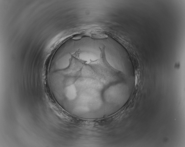 X0000115790339200911271232