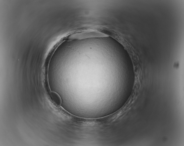 X0000115790342200911271232