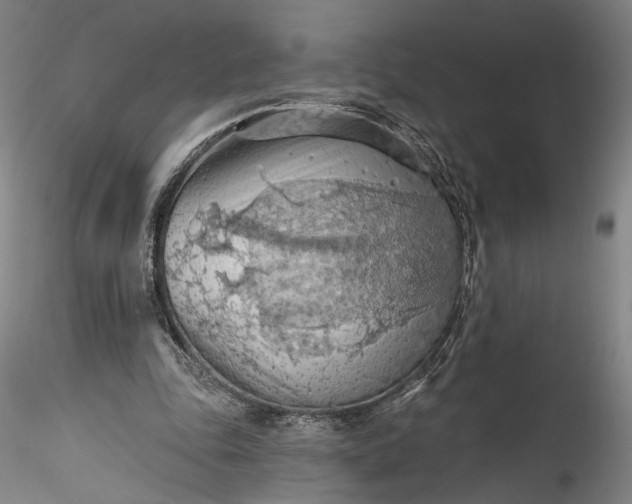 X0000115790343200911271232