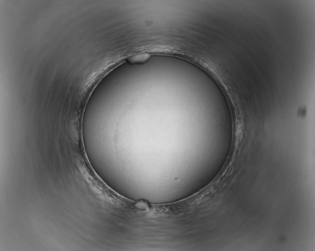 X0000115790345200911271232