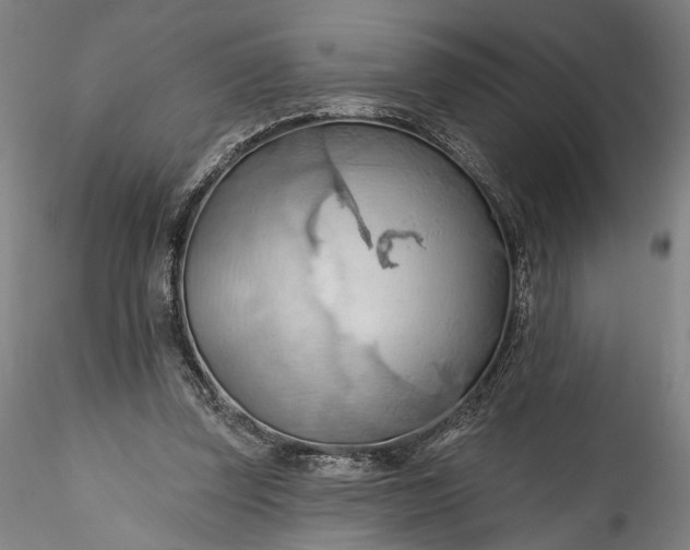 X0000115790347200911271232