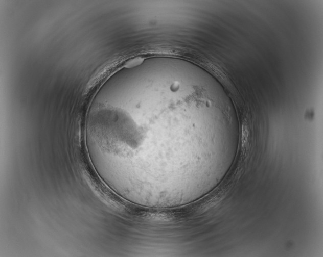 X0000115790349200911271232