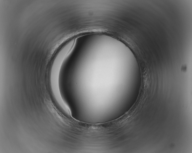 X0000115790350200911271232