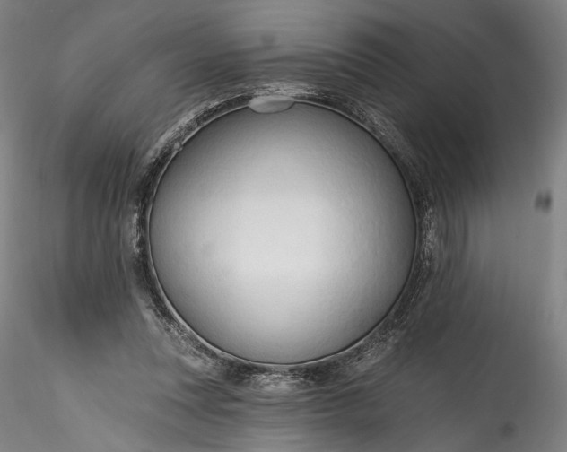 X0000115790351200911271232