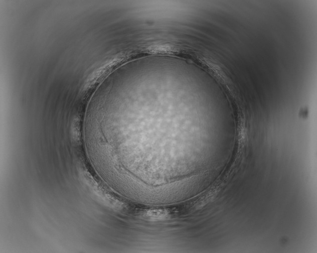 X0000115790353200911271232