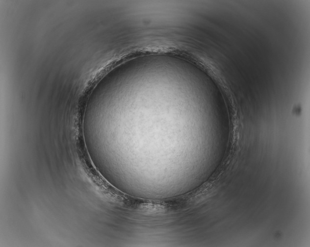 X0000115790354200911271232