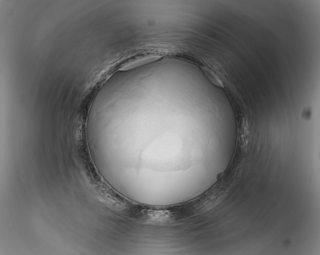 X0000115790355200911271232