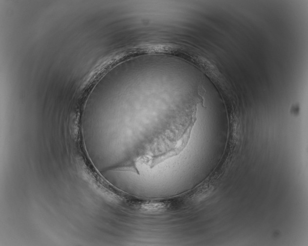 X0000115790357200911271232