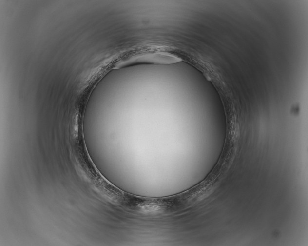 X0000115790358200911271232