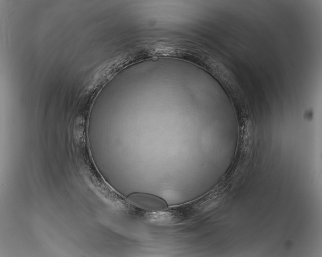 X0000115790361200911271232