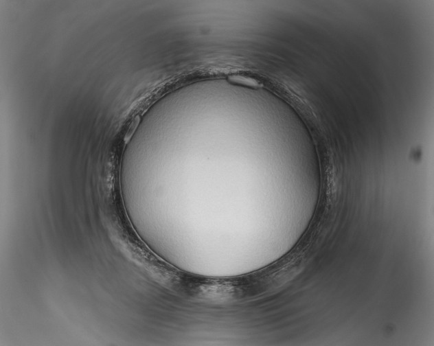 X0000115790362200911271232