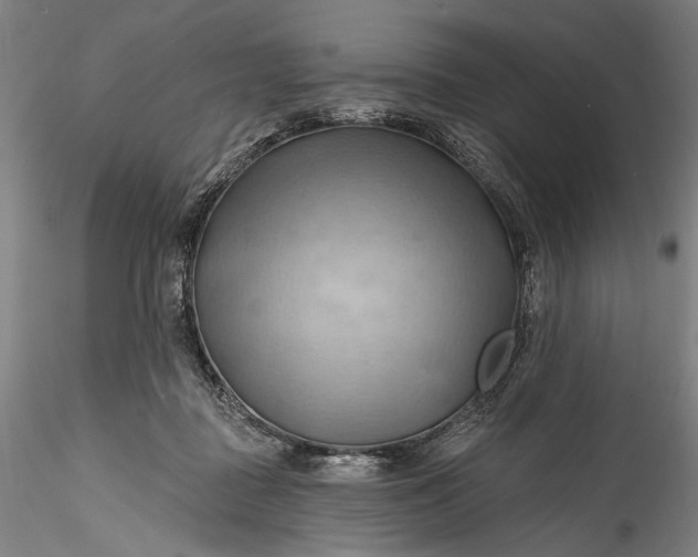 X0000115790363200911271232