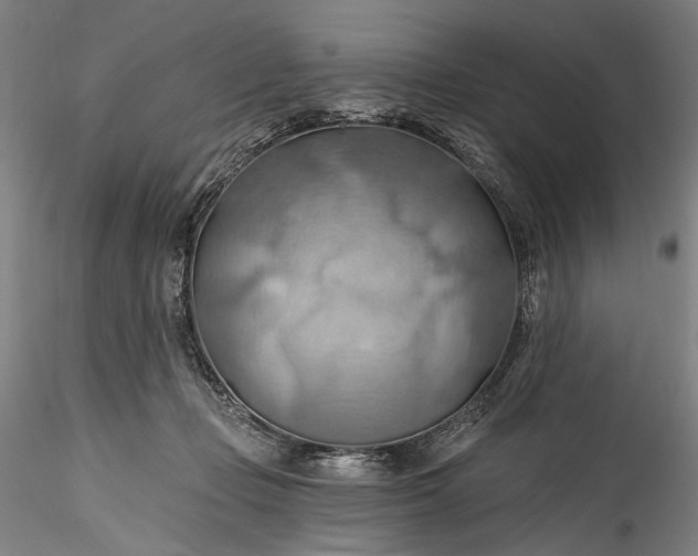 X0000115790365200911271232