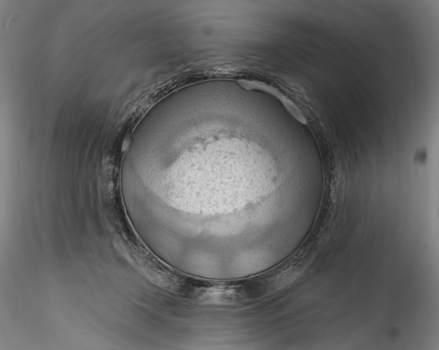 X0000115790366200911271232