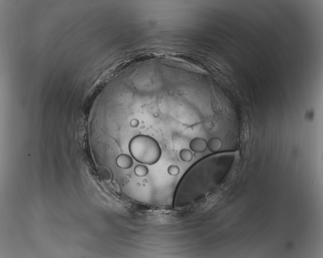 X0000115790367200911271232