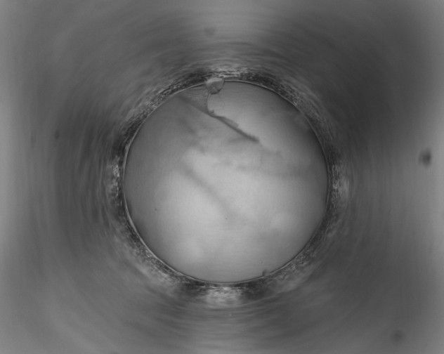 X0000115790369200911271232