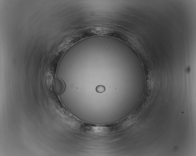 X0000115790371200911271232