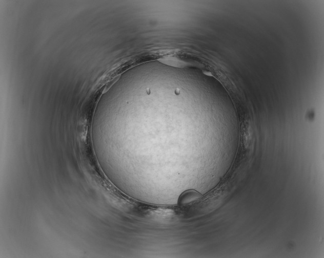 X0000115790374200911271232