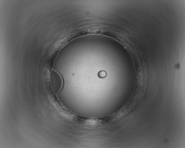 X0000115790375200911271232