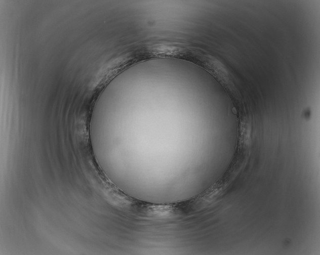 X0000115790377200911271232