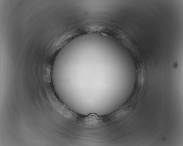 X0000115790378200911271232