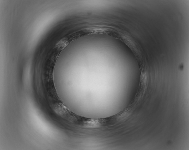 X0000115790381200911271232