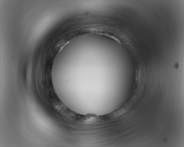 X0000115790382200911271232