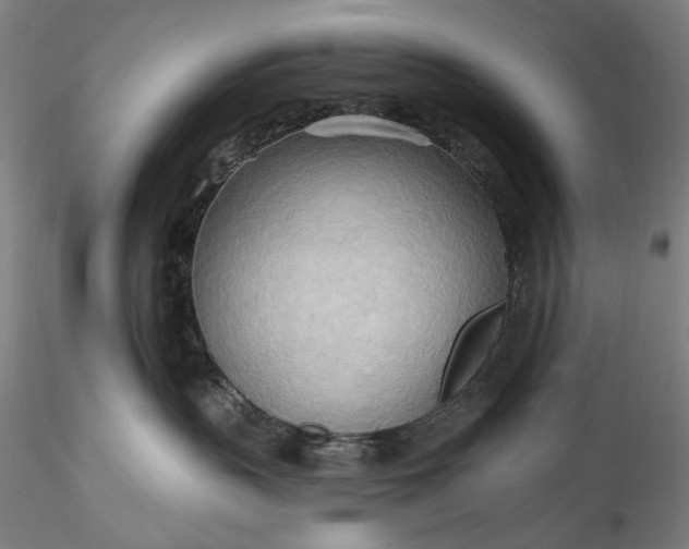 X0000115790383200911271232