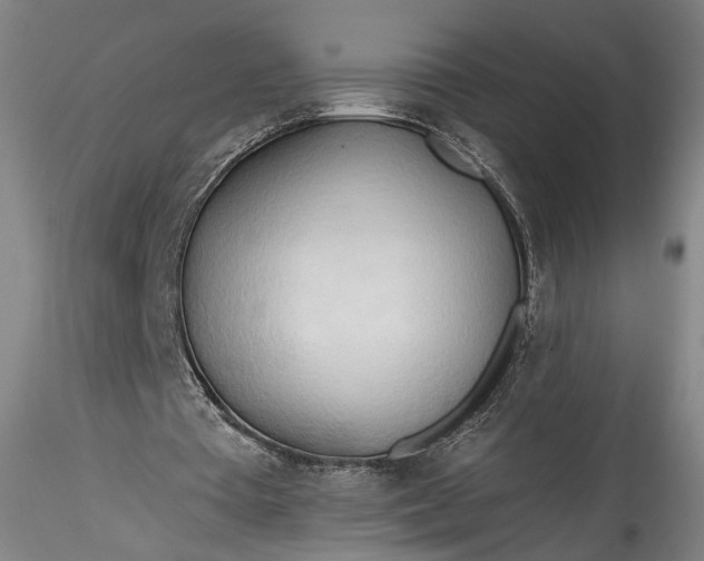 X0000115790385200911271232