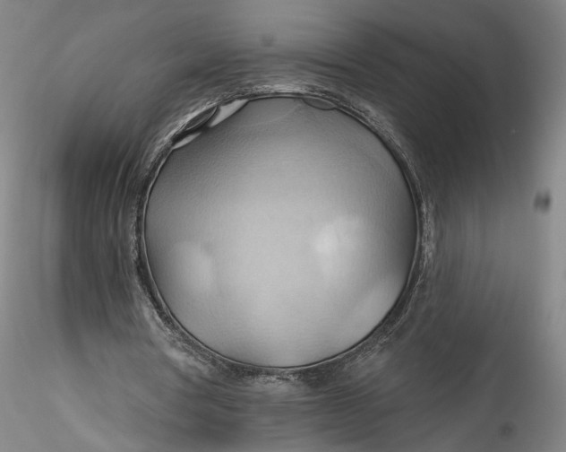 X0000115790386200911271232