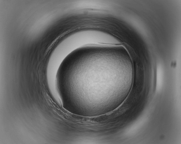 X0000115790387200911271232