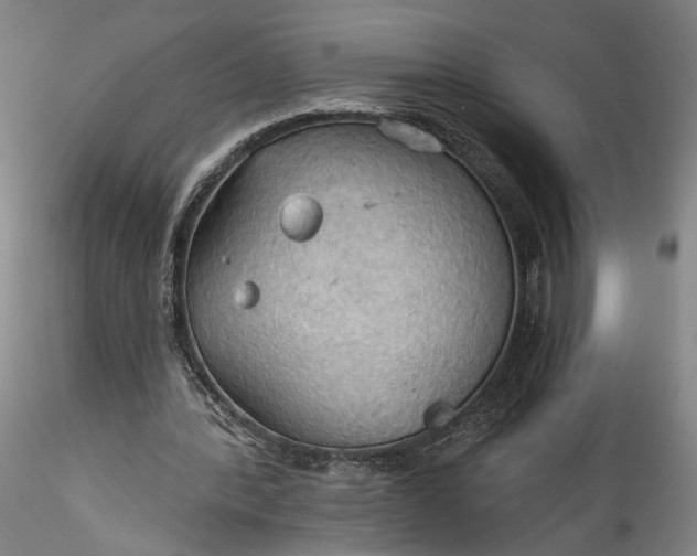 X0000115790388200911271232