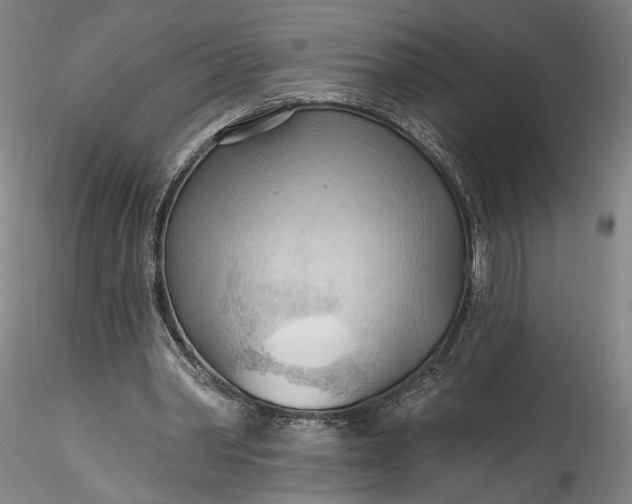 X0000115790390200911271232