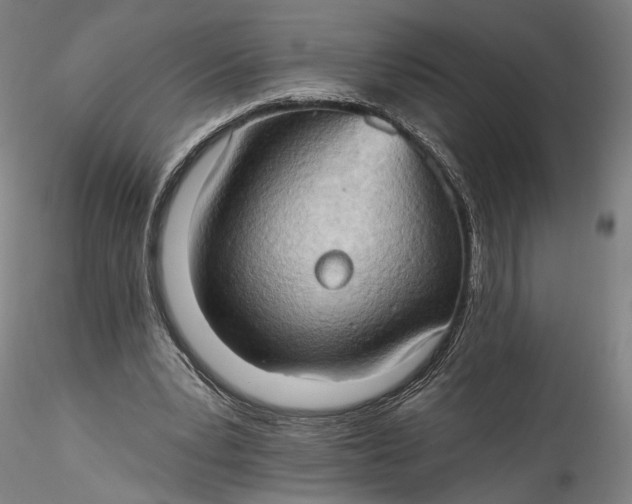 X0000115790391200911271231