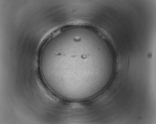 X0000115790392200911271231