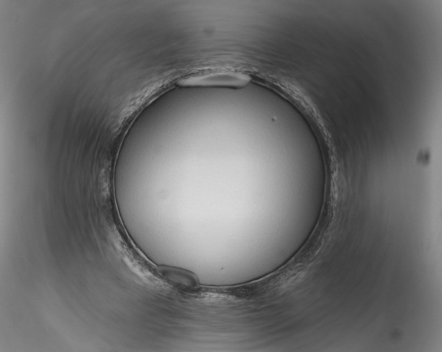 X0000115790393200911271231