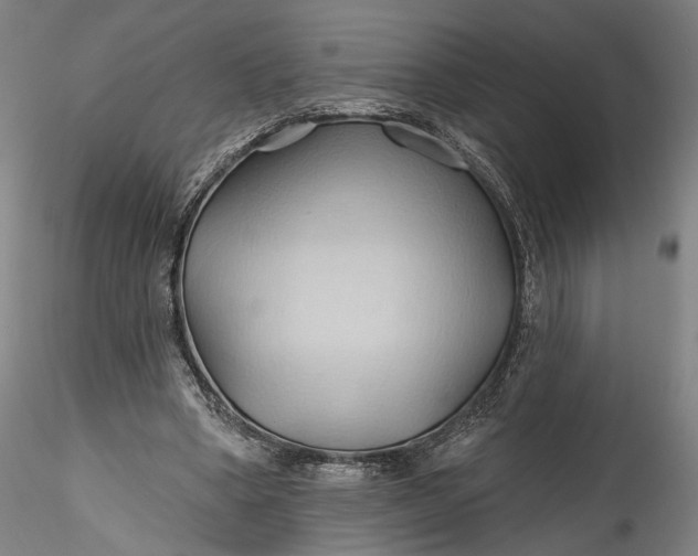 X0000115790394200911271231