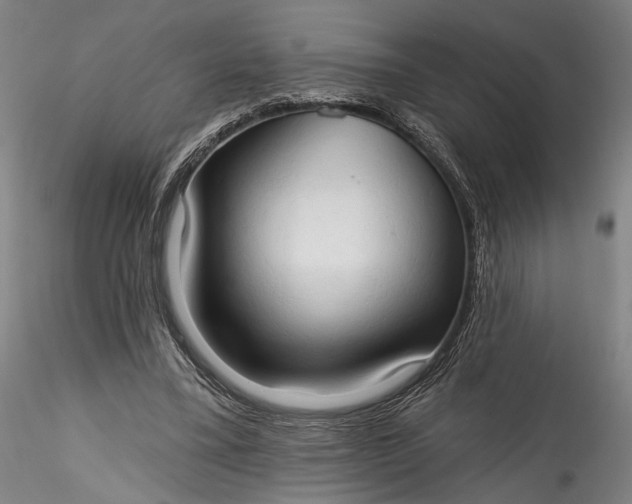 X0000115790395200911271231