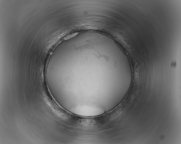 X0000115790398200911271231