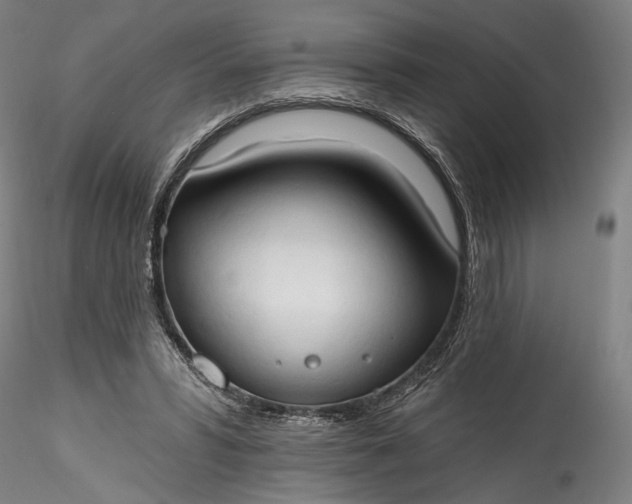 X0000115790399200911271231