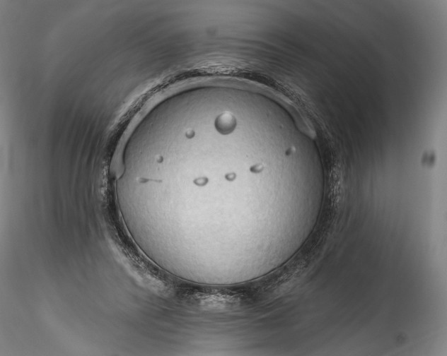 X0000115790400200911271231